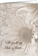 Maid of Honor request with soft sepia daisy bouquet card