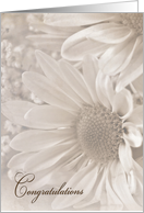 Daisy bouquet for wedding congratulations card