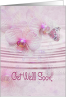 Butterfly on orchids for Get Well card
