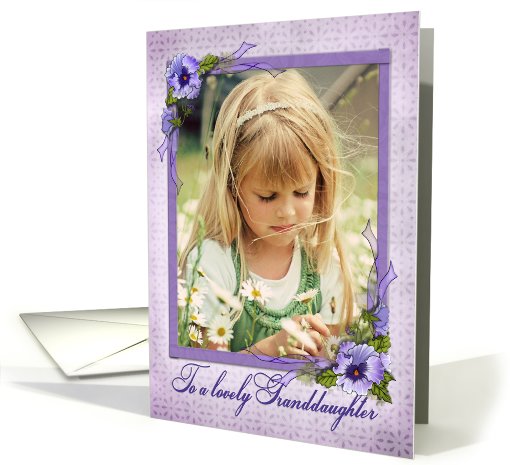 pansy photo card for Granddaughter's birthday card (924460)