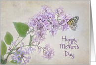 butterfly on lilacs for Mother’s Day card