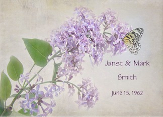 butterfly on lilacs...