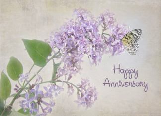 Butterfly On Lilacs...