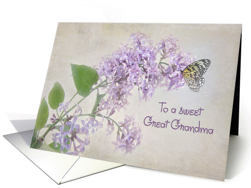 butterfly on lilacs for Great Grandma's birthday card (926064)