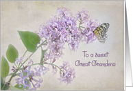 butterfly on lilacs for Great Grandma’s birthday card