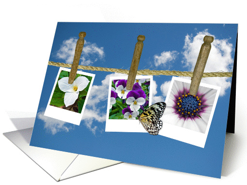 Floral photos hanging on clothesline for Birthday card (928003)