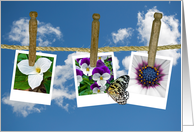 Floral photos hanging on clothesline for Thank You card