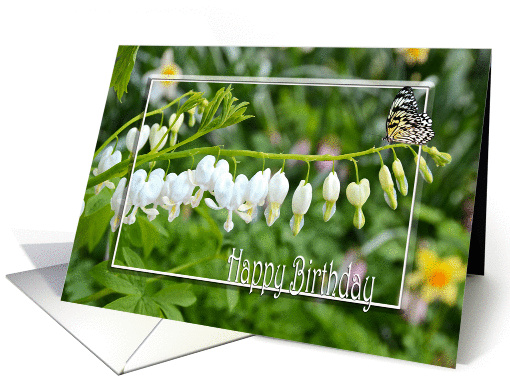 bleeding heart flowers with butterfly for Birthday card (930355)