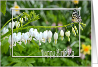 bleeding heart flowers with butterfly for Birthday card