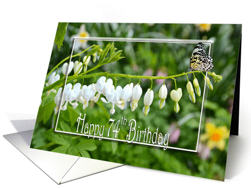 bleeding heart flowers with butterfly for 74th Birthday card (930512)