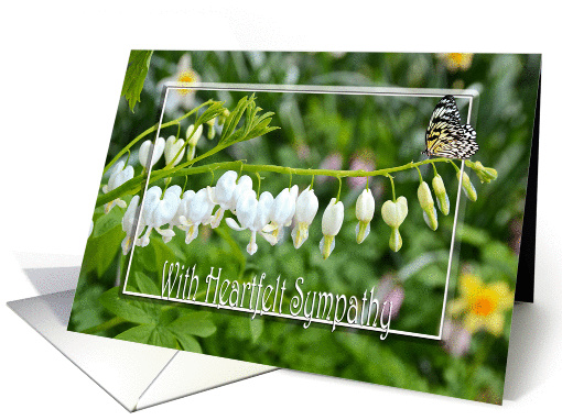 bleeding heart flowers with butterfly for sympathy card (930529)