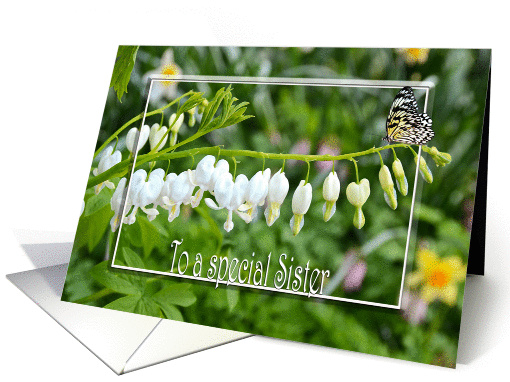 bleeding heart flowers with butterfly for Sister's birthday card