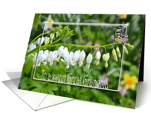 bleeding heart flowers with butterfly for Great Grandma's... (930579)