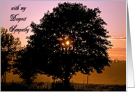 sunset sympathy with old oak tree card
