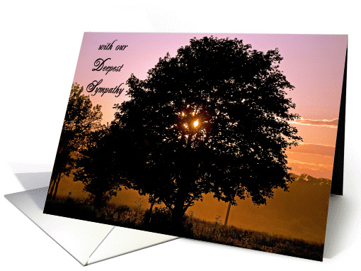 sympathy for loss of father from couple card (934163)