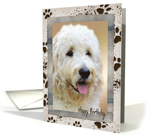Dad's birthday photo card from the dog with muddy paw print frame card