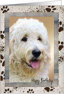 Dad’s birthday photo card from the dog with muddy paw print frame card