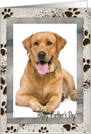 Father’s Day photo card frame of muddy paw prints from the dog card