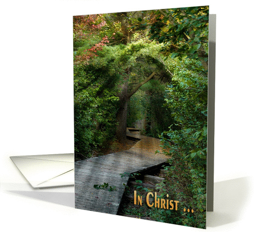 loss of mother with autumn woods and sunbeams card (939689)