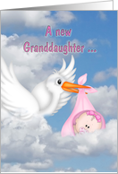 new granddaughter stork in clouds with baby girl in blanket card