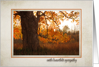 sympathy with autumn oak tree card