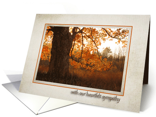 Autumn Oak Tree Loss of Husband Sympathy From Couple card (958195)