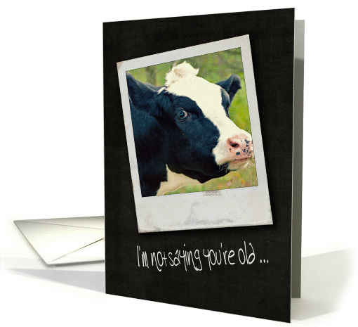 birthday humor with black and white cow in vintage snapshot frame card