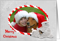 Merry Christmas photo frame for grandparents with polar bears card