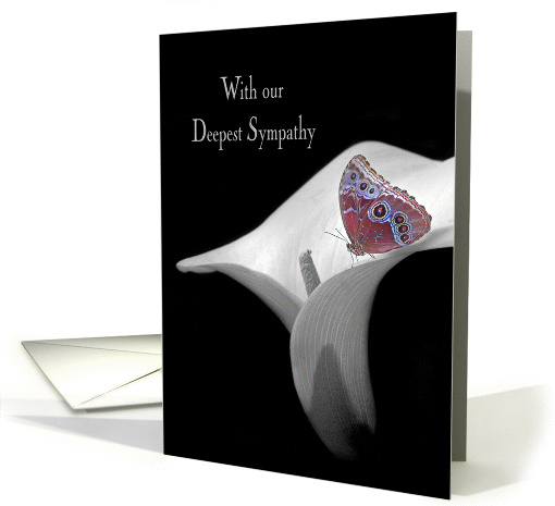Sympathy with butterfly in white calla lily card (977323)