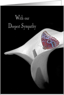 Sympathy with butterfly in white calla lily card