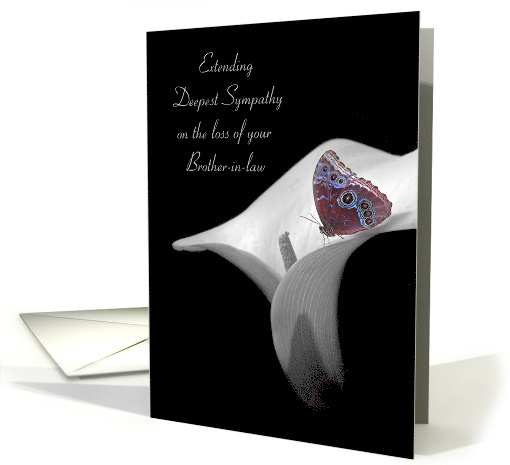 Loss of Brother In Law Sympathy with Butterfly on Calla Lily card