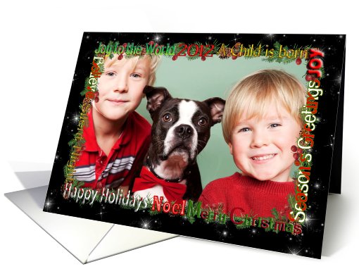 Christmas greetings photo card with berries and pine card (990977)