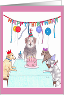 Happy Birthday-Party with your pack card