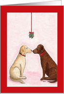 Christmas pooch smooch under the mistletoe card