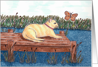 Sympathy on the loss of your cat card