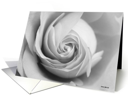 Classic Rose card (157625)