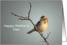 Evening Song - Mother’s Day card