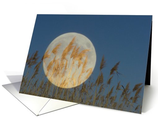Behind - full moon collage card (158234)