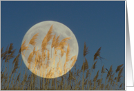 Behind - full moon collage card