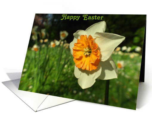 Happy Easter card (163364)
