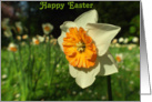 Happy Easter card