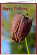 Happy Birthday card