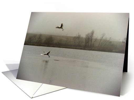 Dreamscape card (165382)
