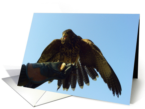 Wanna be free card (165386)