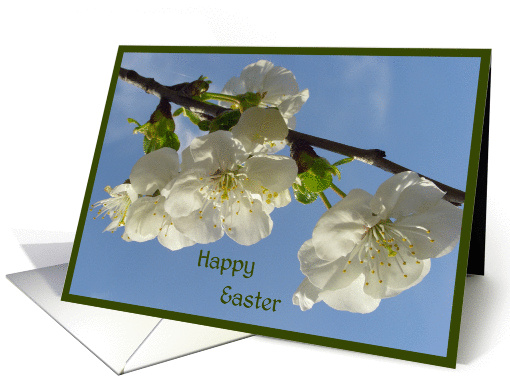 Happy Easter card (165682)