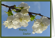 Happy Easter card