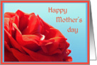 Happy Mother’s day card