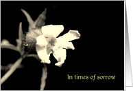 In times of sorrow