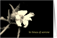 In times of sorrow card