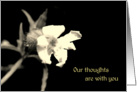 Our thoughts are with you card